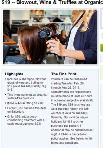 Travelzoo Eco-Chic Salon Irvine $19 Hair, Wine & Truffles